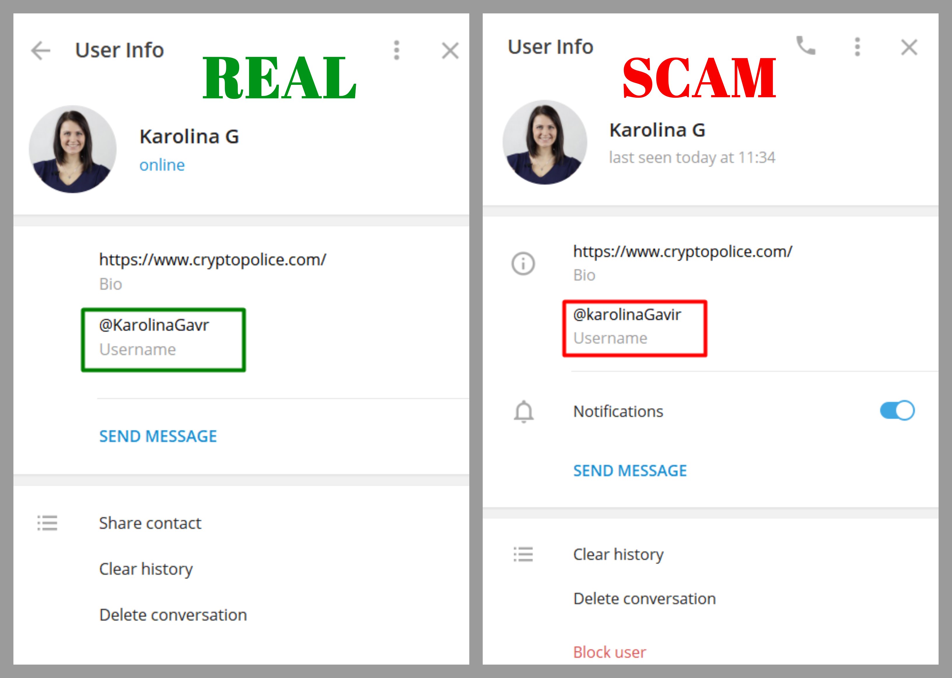 cloned Telegram fake account