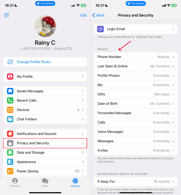 control Telegram privacy