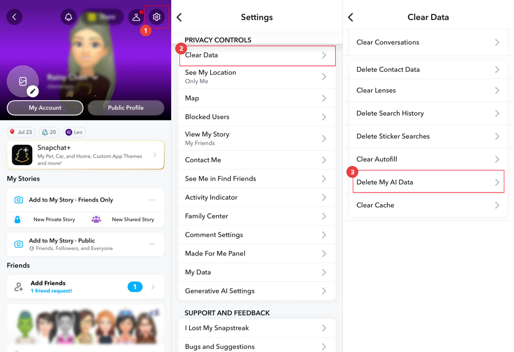 delete Snapchat AI data