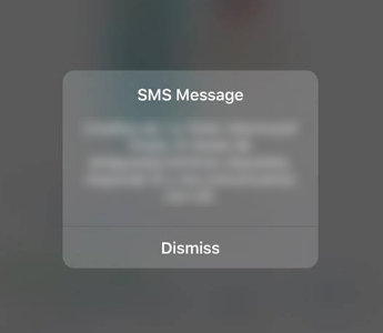 flash SMS