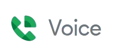 google voice