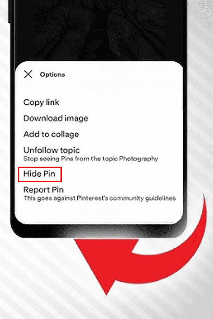 Hide Pin on Pinterest
