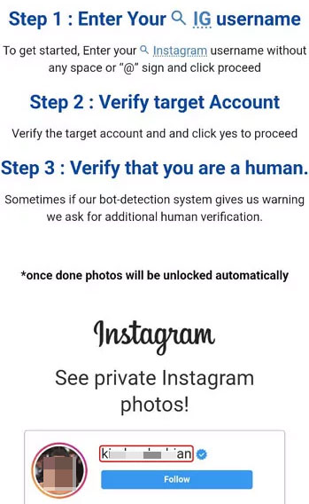 Instagram Downloader display basic public information