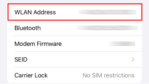 check iPhone MAC address