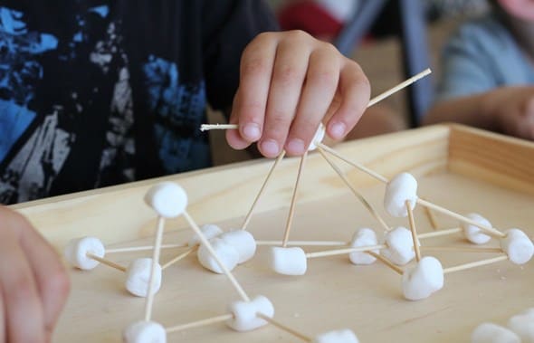 Marshmallow-and-Toothpick Challenge