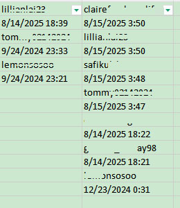 paste followers and following to excel