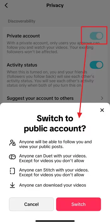 private TikTok account