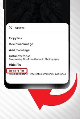 Report Pin on Pinterest