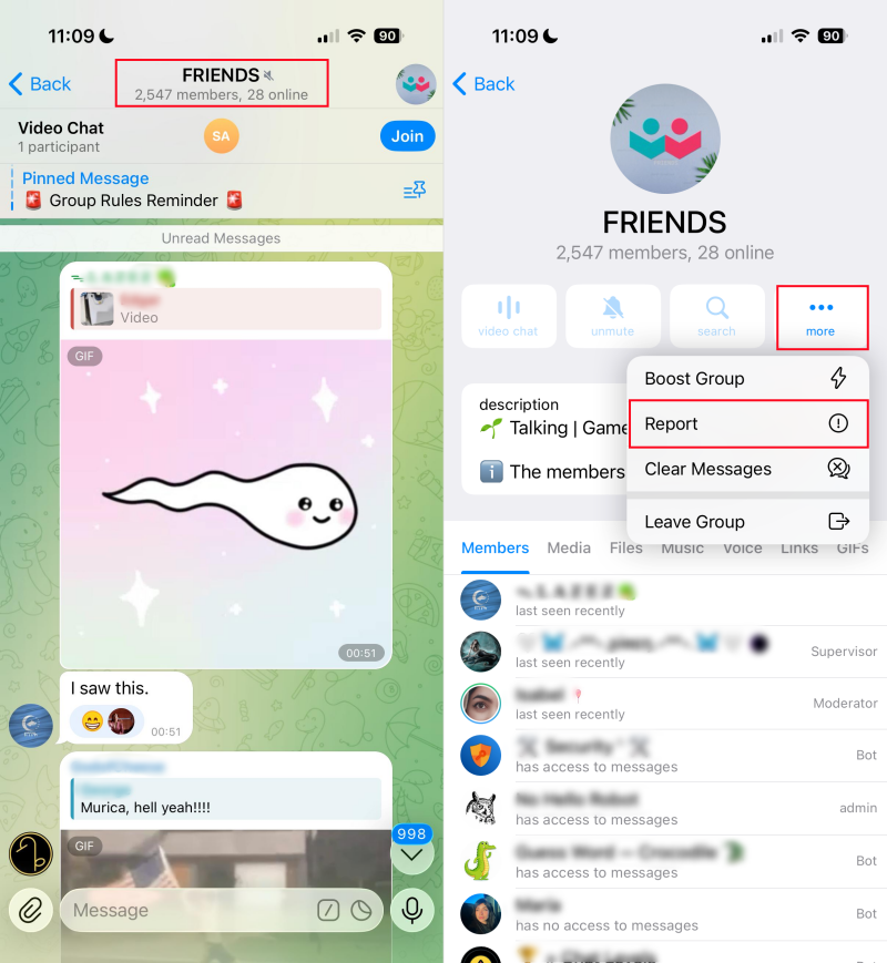 report group on Telegram