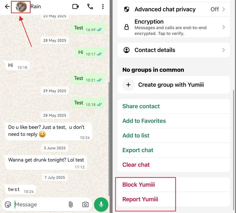 report safety security and issues on WhatsApp