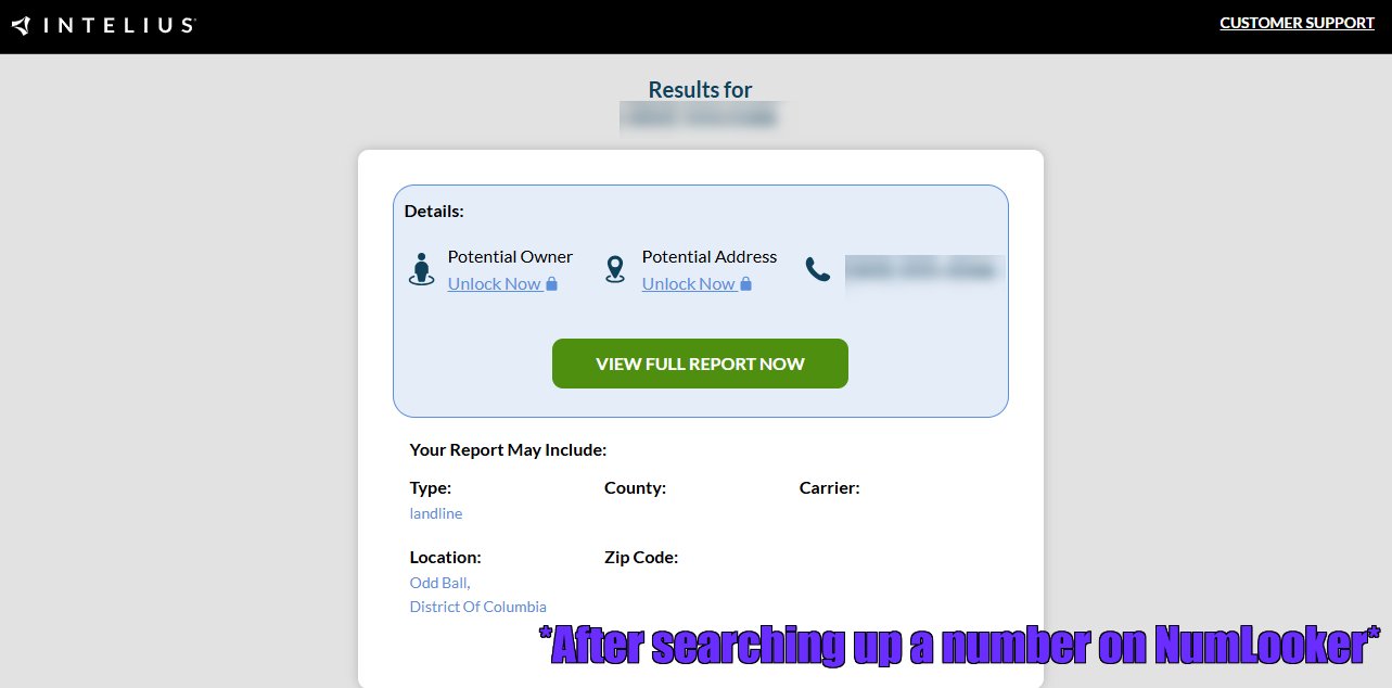 Reverse Lookup Tool