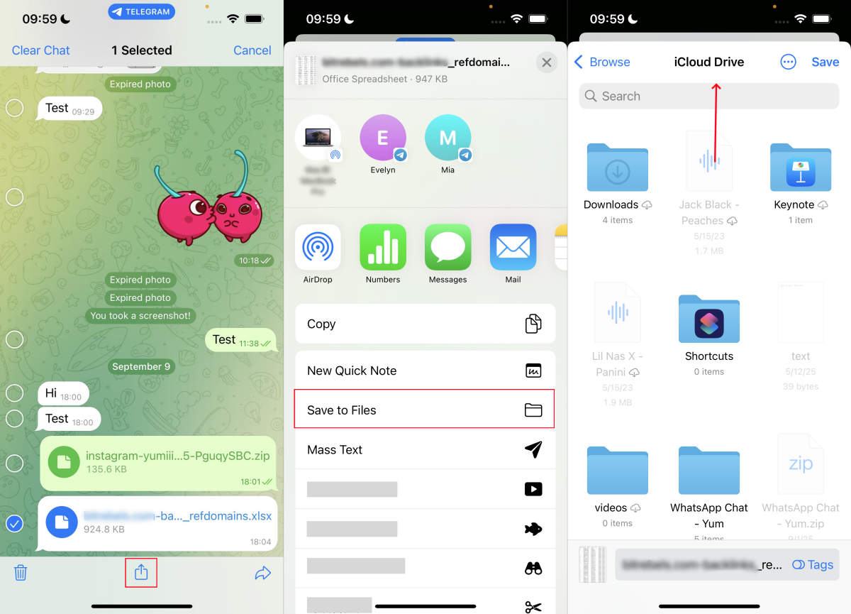 save Telegram files on iPhone