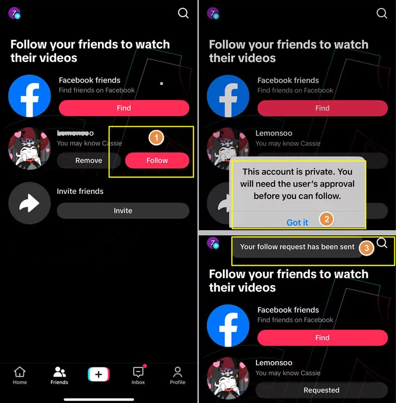 send request to private TikTok account