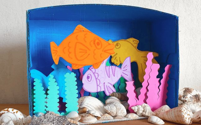Shoebox Aquarium Works Display
