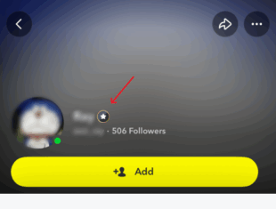huy hiệu Snapchat Plus
