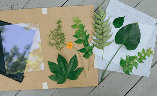 Sunprint Art DIY Kaleidoscope