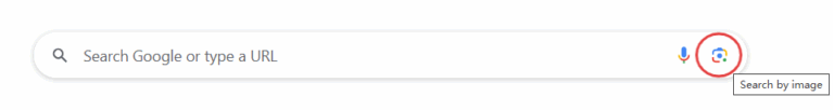 tap Google Search by Image