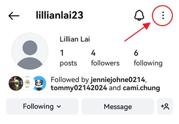 tap on the three dots of the Instagram profile