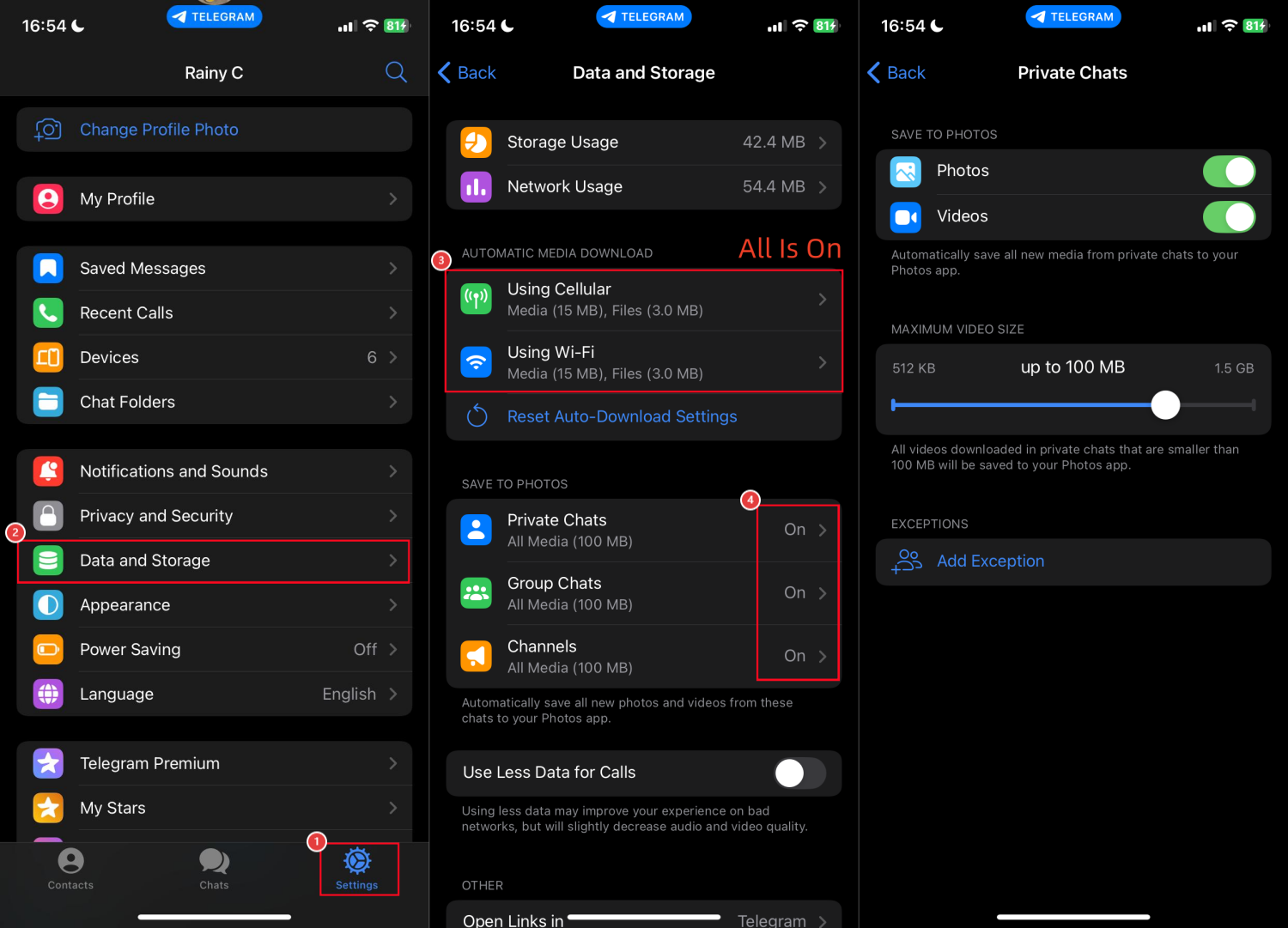 telegram auto media download
