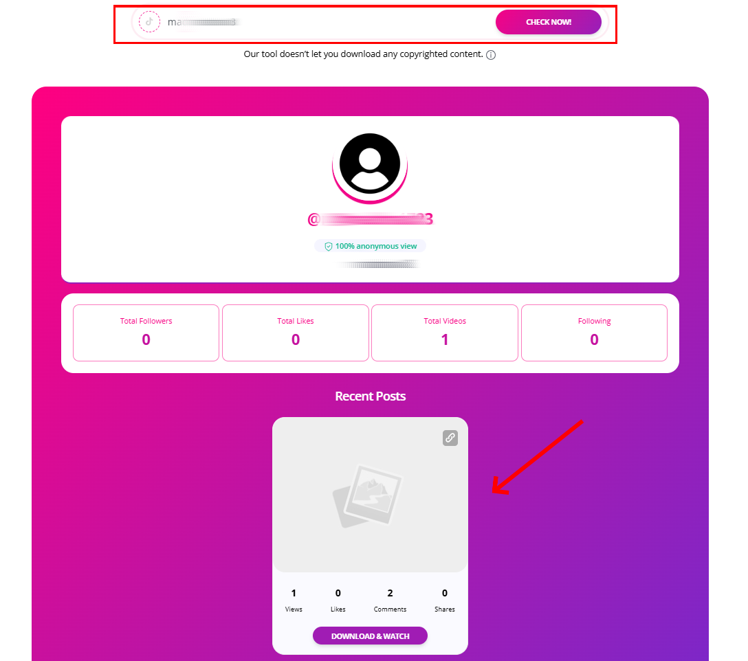 TikTok anonymous viewer online