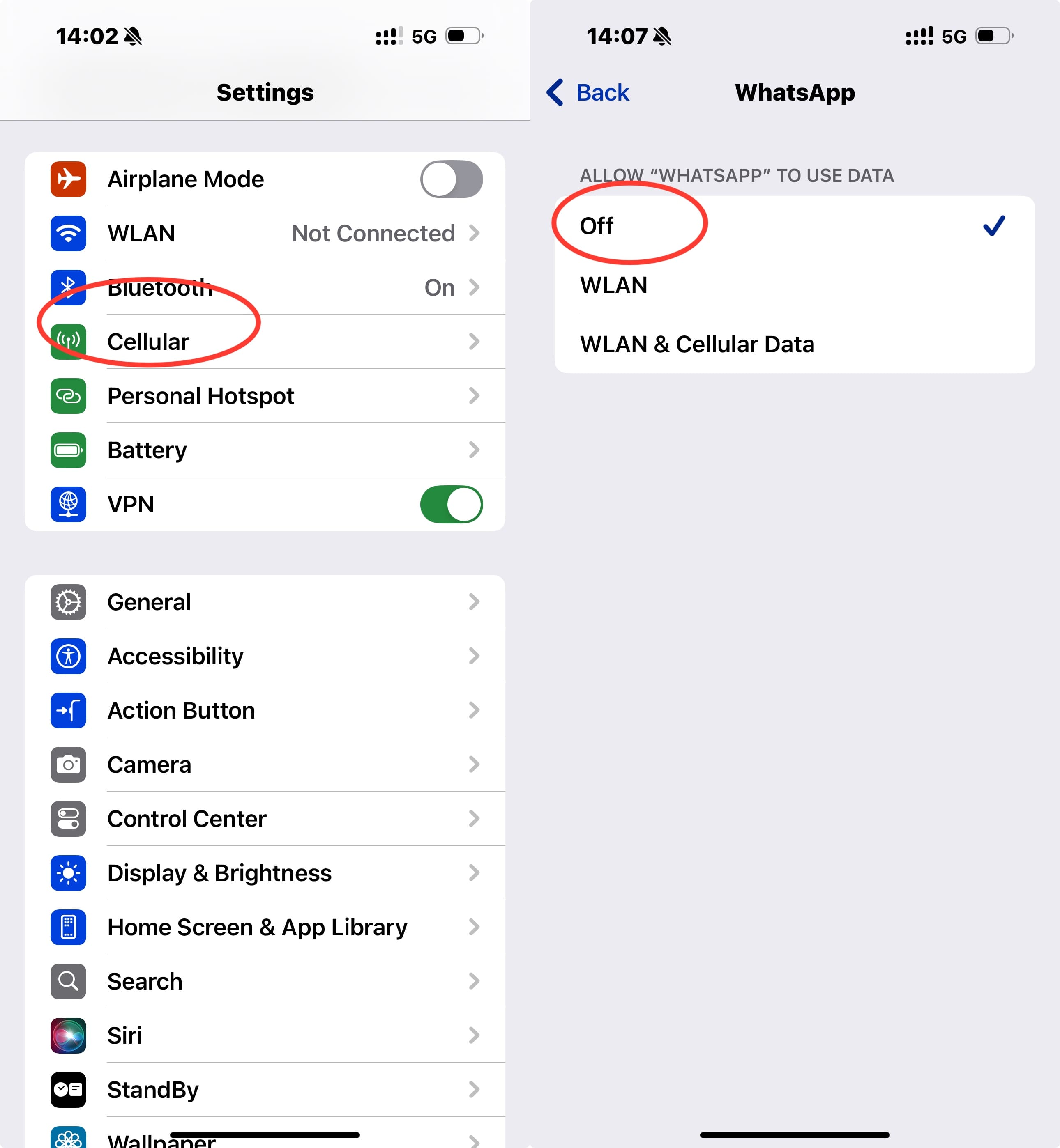 Turn off WhatsApp Cellular data