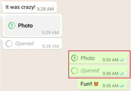 hatsApp View Once opened