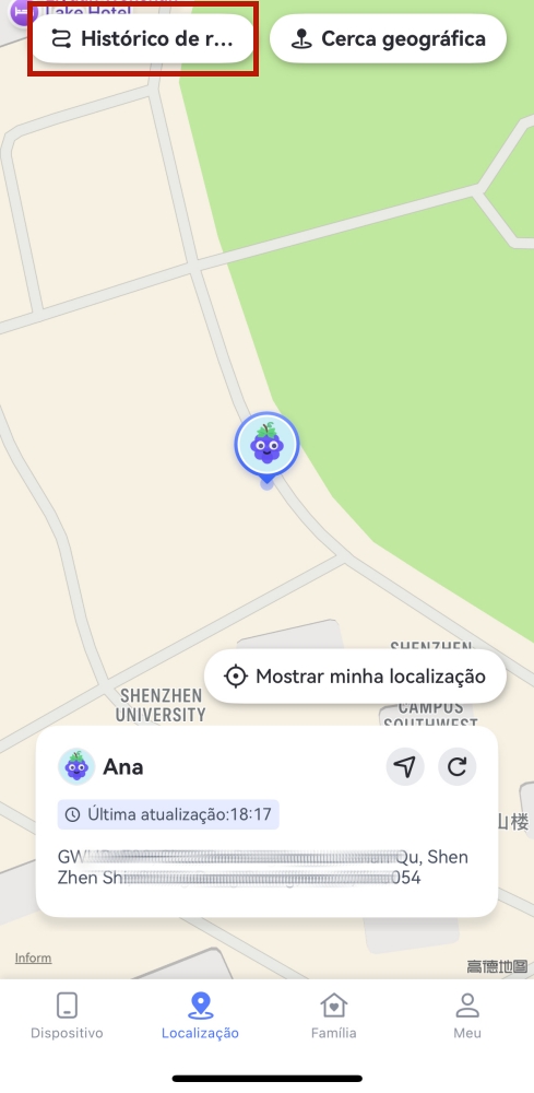 tocar em Histórico de Rotas (Android)