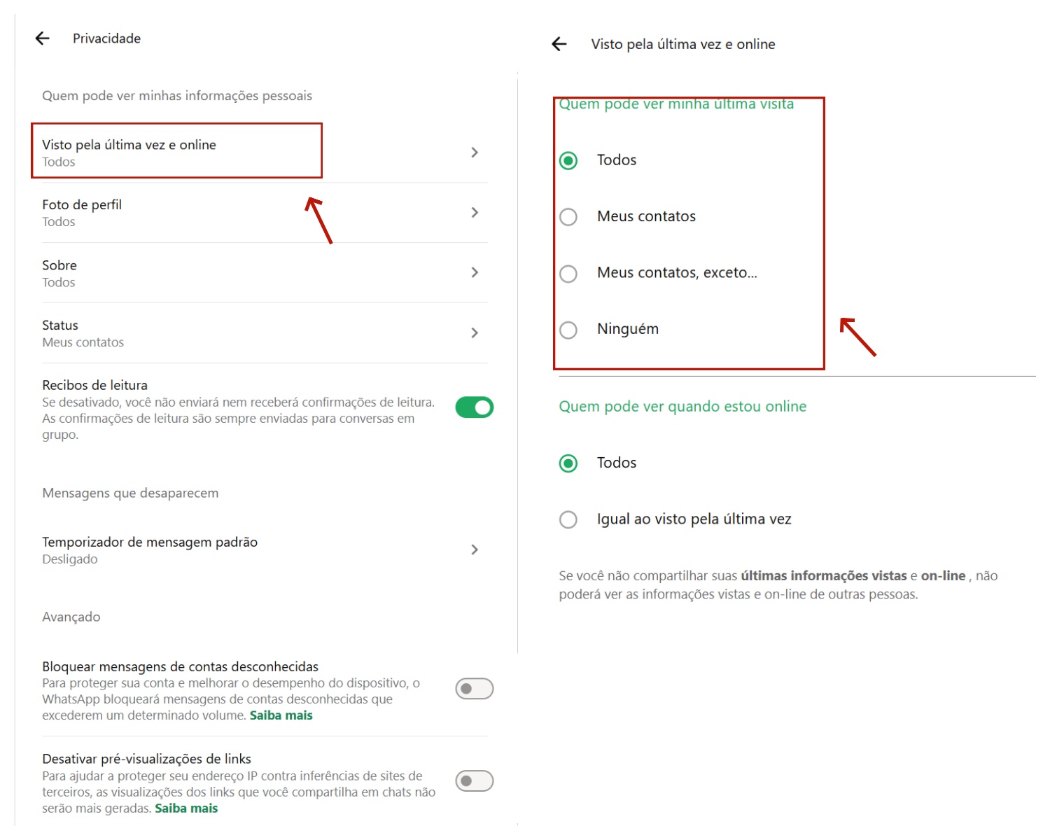 Ocultar o visto por último do WhatsApp no iPhone