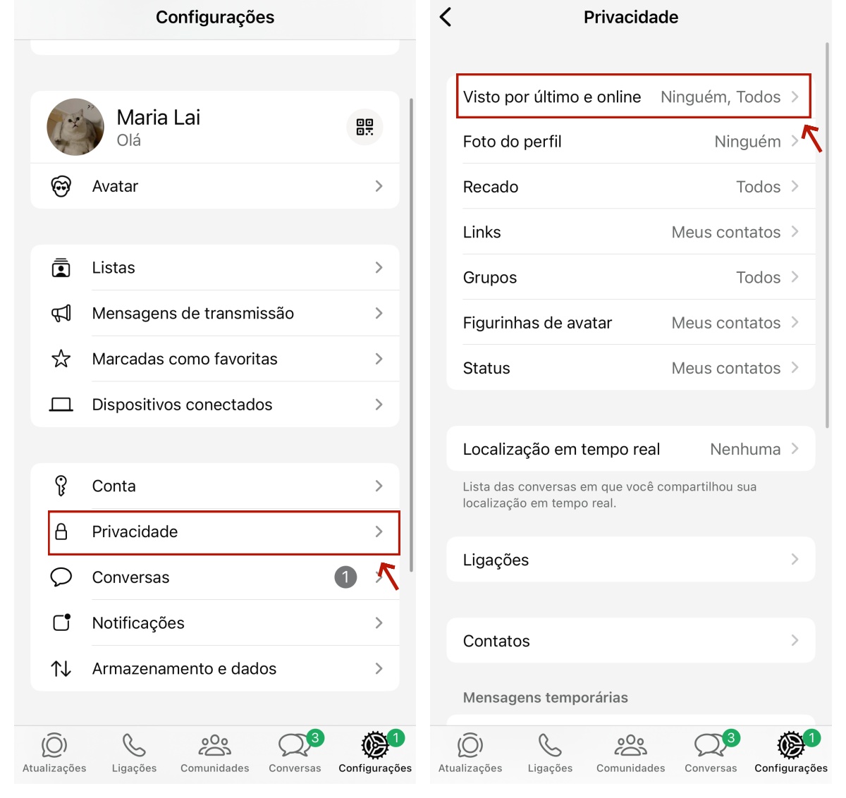 Abra as configurações de privacidade no WhatsApp no iPhone