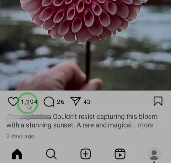 Veja as curtidas ou comentários do post no Instagram
