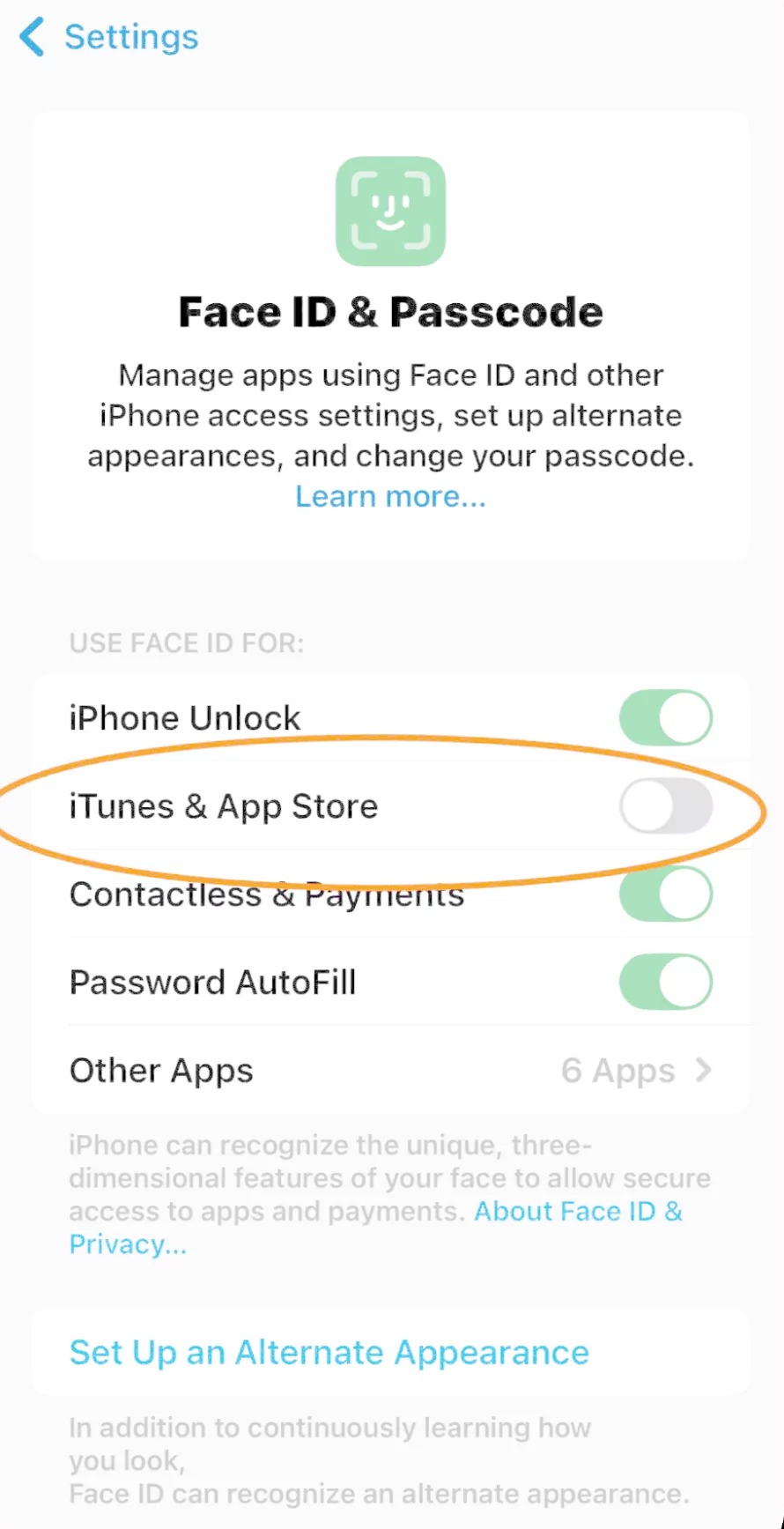 itunes e app store