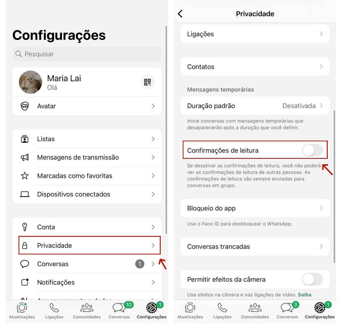 Confirmações de leitura do WhatsApp