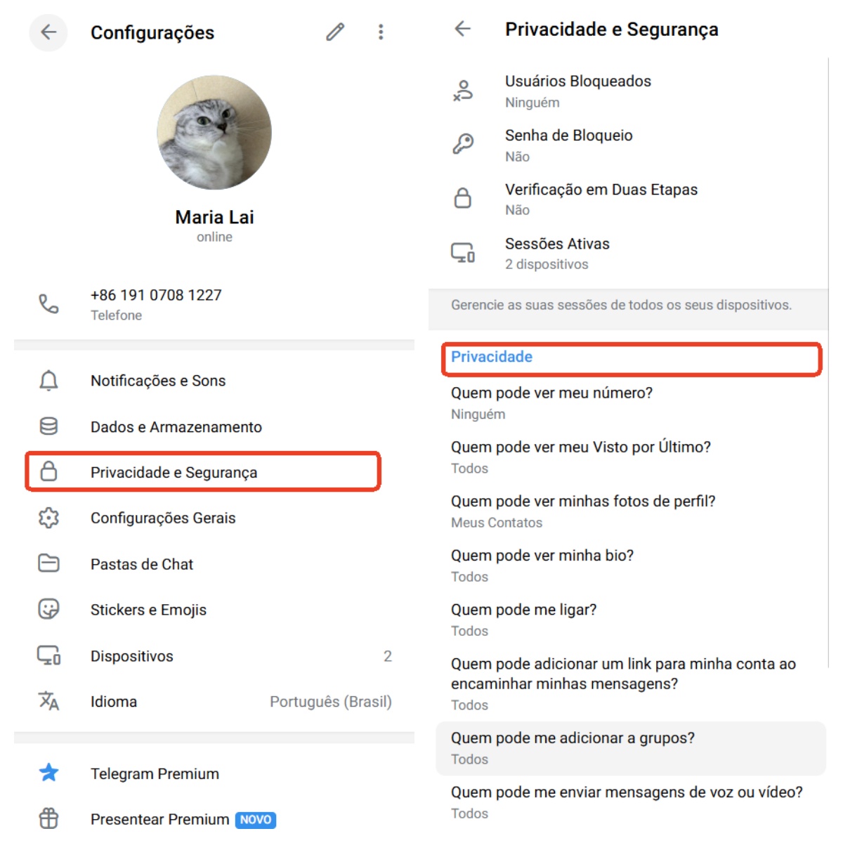 Controlar a privacidade no Telegram