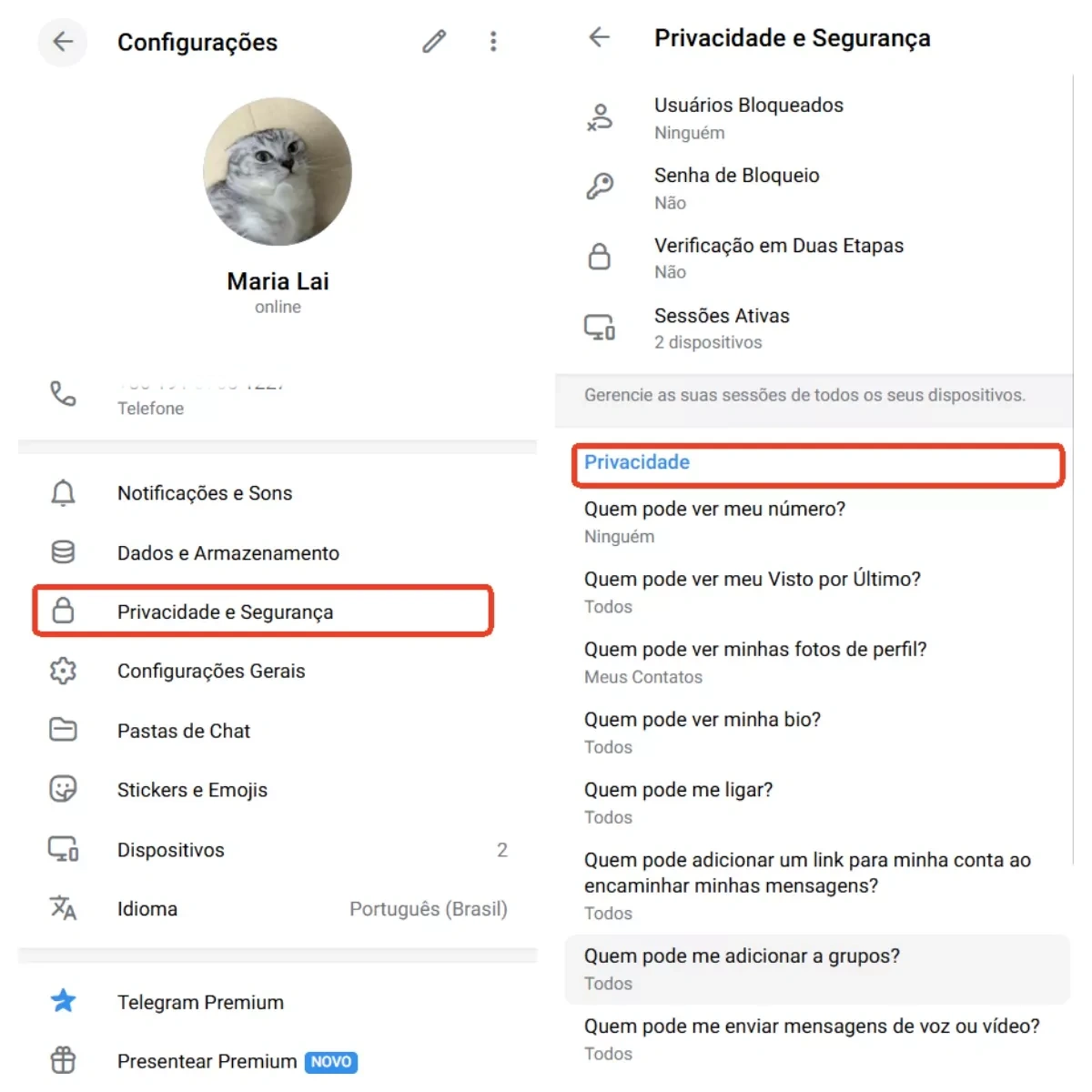 Controlar a privacidade no Telegram