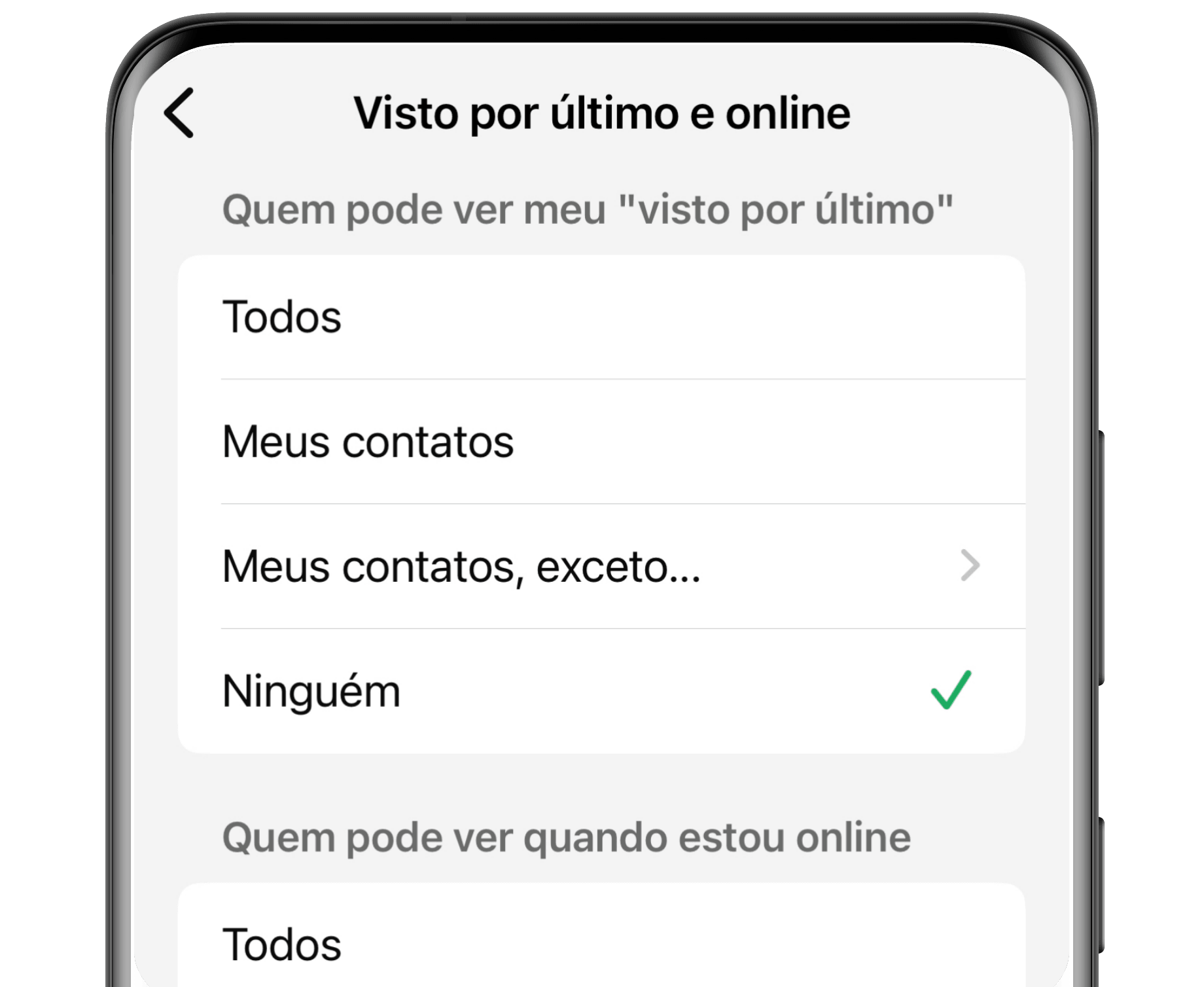 Status online e visto por último