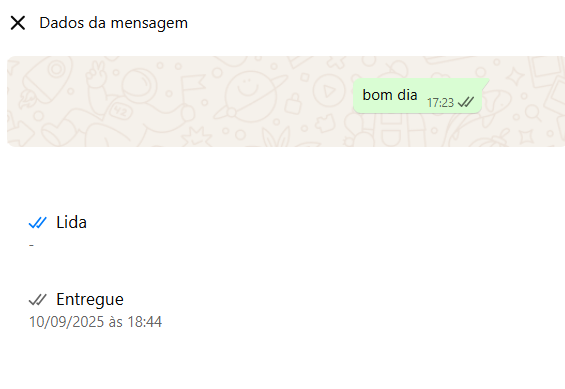 Informações da mensagem no WhatsApp
