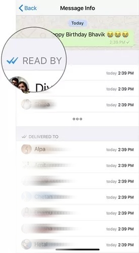 Recibos de leitura do WhatsApp no grupo