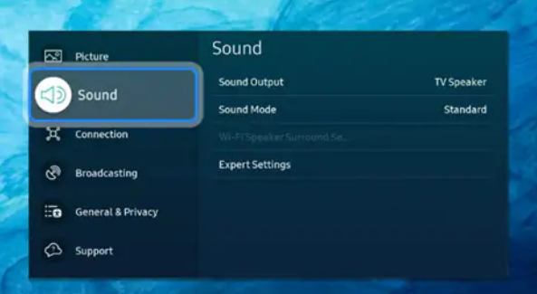 Check the Audio Settings on Your TV