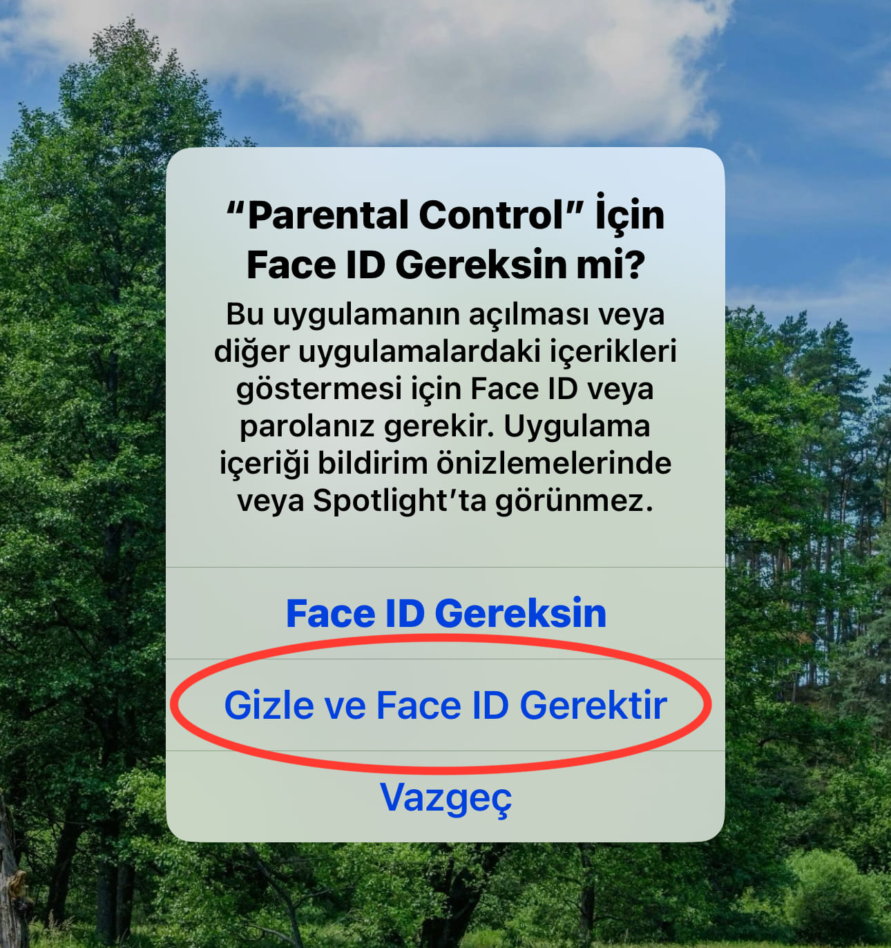 hide and require face id