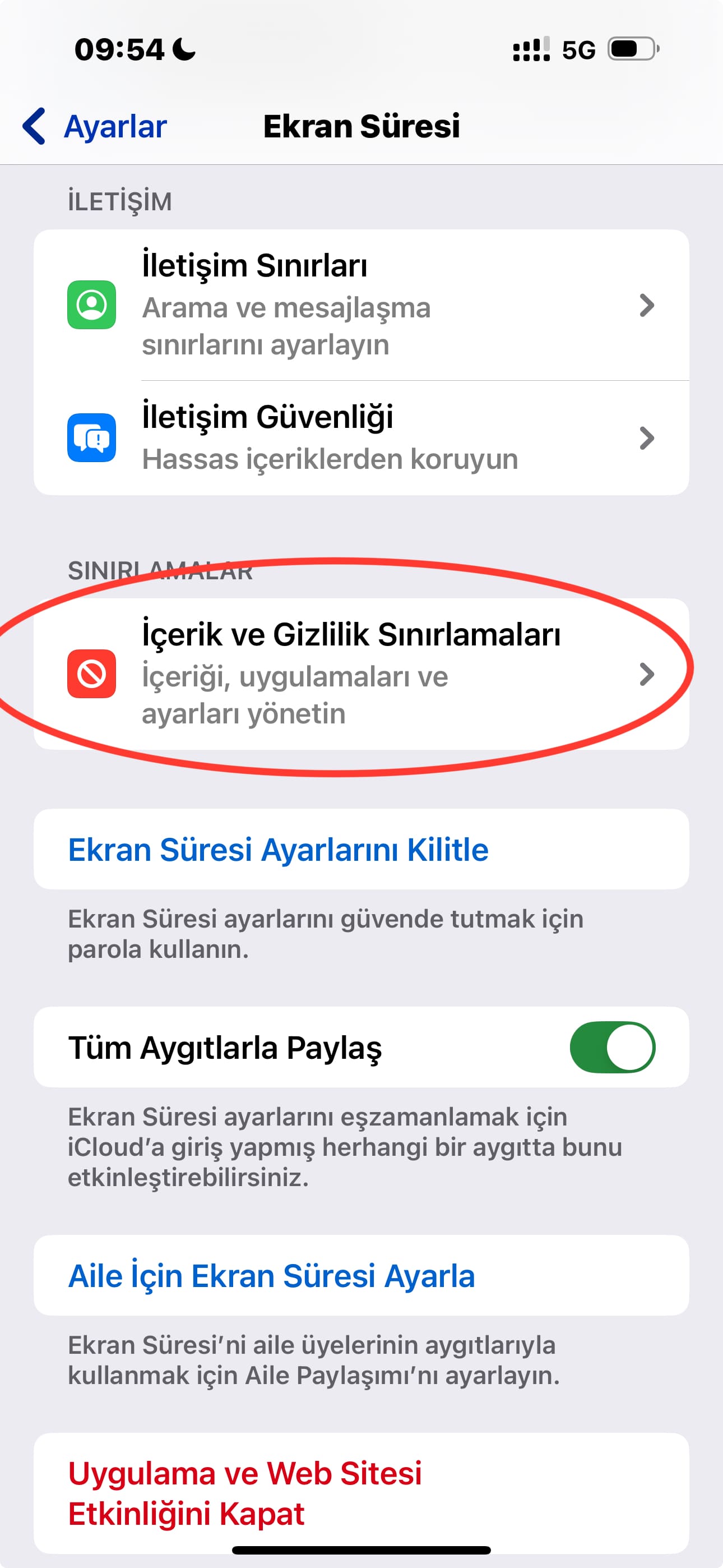 İçerik ve Gizlilik Sınırlamaları ekranı