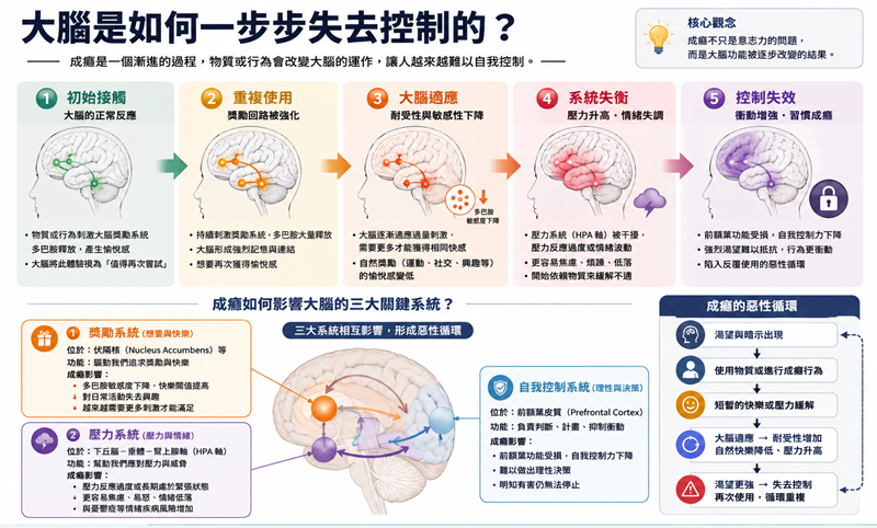 how does the brain get addicted 2