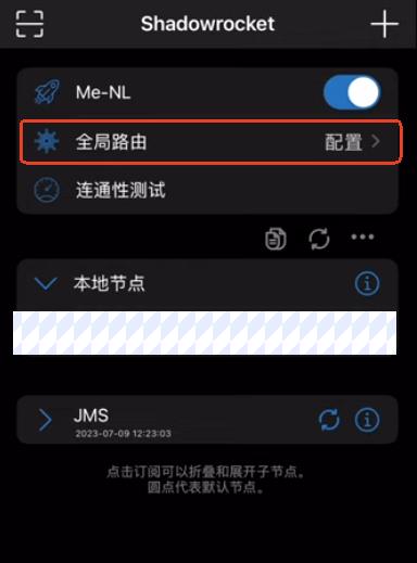 VPN 開啟全域路由